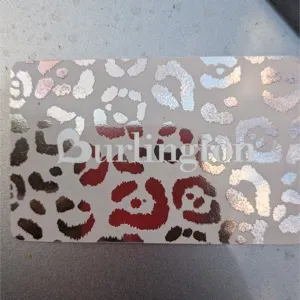 $100,00 Burlington 