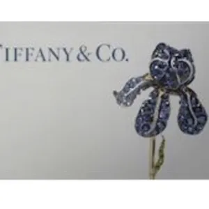 $100,00 Tiffany & Co