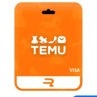 $20,00 Temu