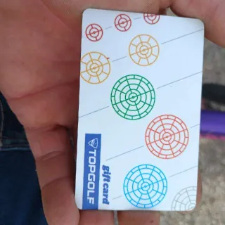$55,00 Topgolf