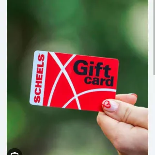 $100,00 Scheels