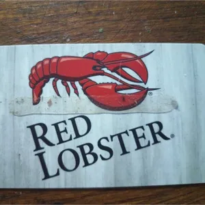 $100.00 Reb lobster