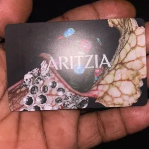 $450.00 Aritzia