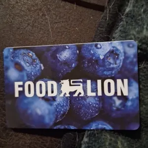 $67 Foot lion 