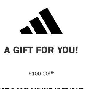 $100.00 Adidas
