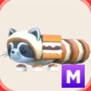 mega s'more raccoon