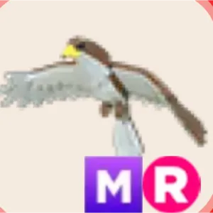 MR hawk