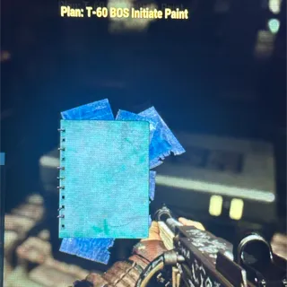 T-60 BOS INITIATE PAINT