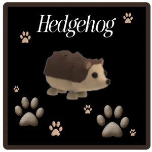 Hedgehog