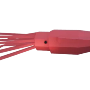 x5 Colossal Squid