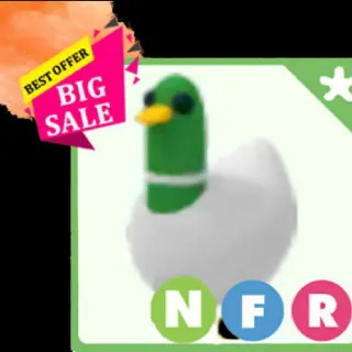 Nfr Silly Duck