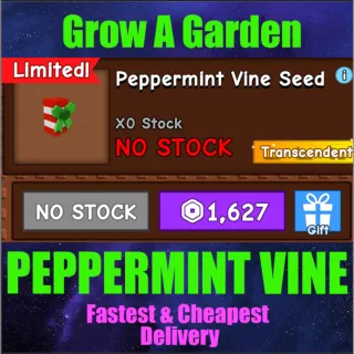 Peppermint vine seed