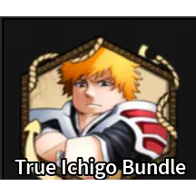 Re:AOPG  true ichigo bundle