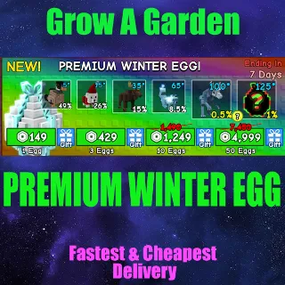 premium winter egg x10