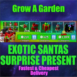 EXOTIC SANTAS SURPRISE PRESENT X80