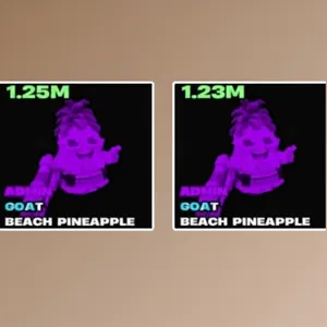 🍍Admin Beach Pineapple