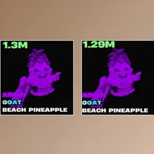 🍍Admin Beach Pineapple