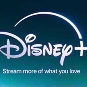 $25.00 Disney Gift Card