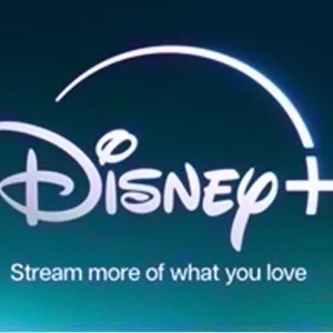 $25.00 Disney Gift Card