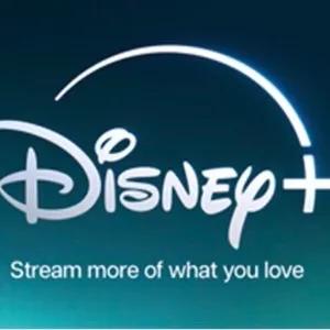 $100.00 Disney+ Gift Card.