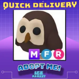 MFR Owl