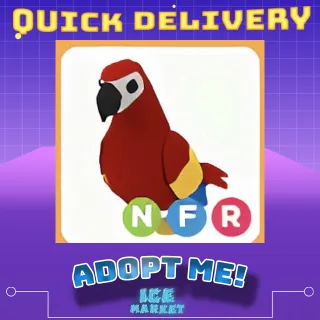 NFR Parrot