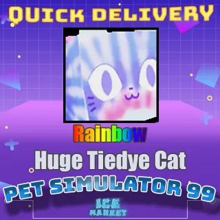 Rainbow Huge Tiedye Cat