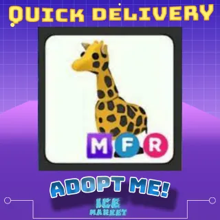 MFR Giraffe