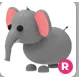 elephant R