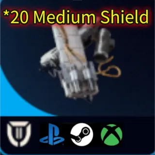 arc raiders *20 Medium Shield
