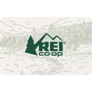 $400.00 REI GIFT CARDS