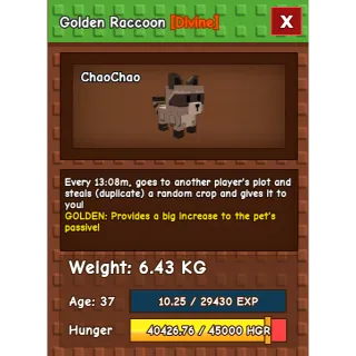 Golden Raccoon | Grow a garden