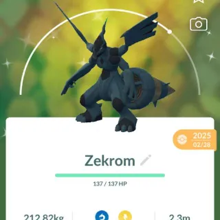 POKEMON GO SHINY ZEKROM-TRADE