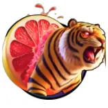 🔥Tigrulli Grapefrutunni - Secret🔥Cheapest Instant - Brainrot Evolution