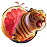 🔥Tigrulli Grapefrutunni - Secret🔥Cheapest Instant - Brainrot Evolution