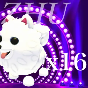 Samoyed  x16