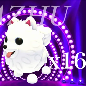 x16 Samoyed
