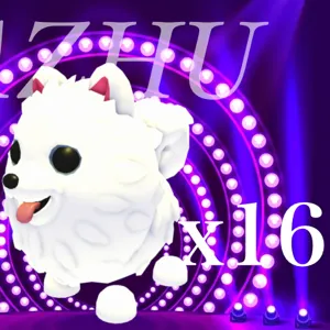x16 Samoyed