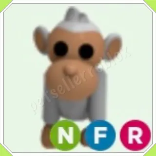 Neon FR Albino Monkey