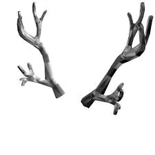 Silverthorn Antlers
