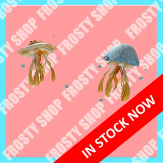 Limited | Jeggyfish Friends