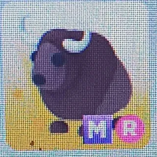 Pet | Mega Buffalo