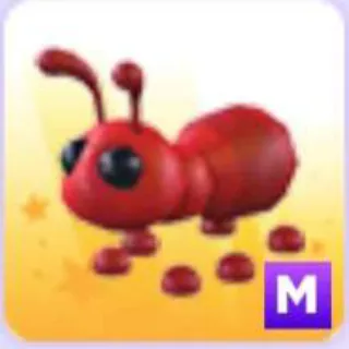 Pet | Mega Ant
