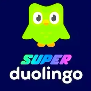 Duolingo Super Individual Subscription 12 Months (Global)