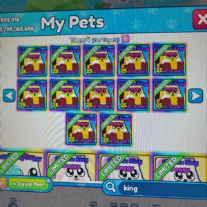 12x gift box king doggy