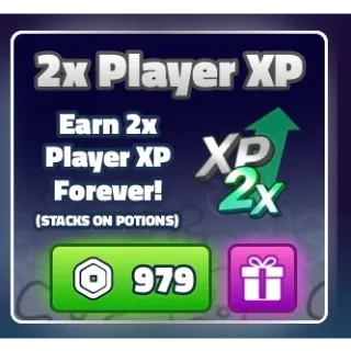 2x player xp