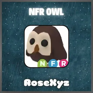 Adopt Me Pets / Neon Fly Ride - NFR Owl- Fast Delivery