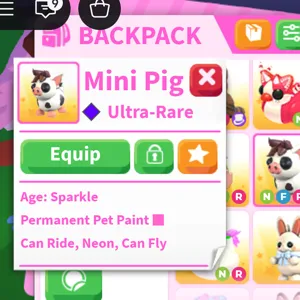 NFR Mini pig