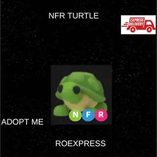 ✅ NFR TURTLE