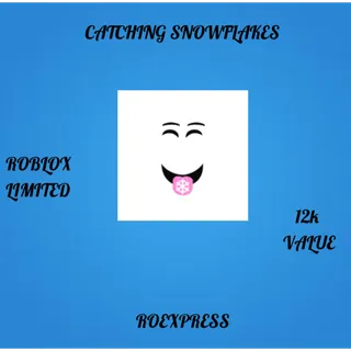 ✅ catching snowflakes (cs)